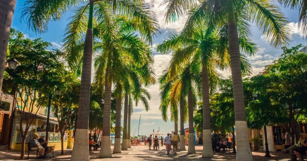 Motoryacht Loon charter yacht to explore palm trees and streets of Philipsburg, Sint Maarten